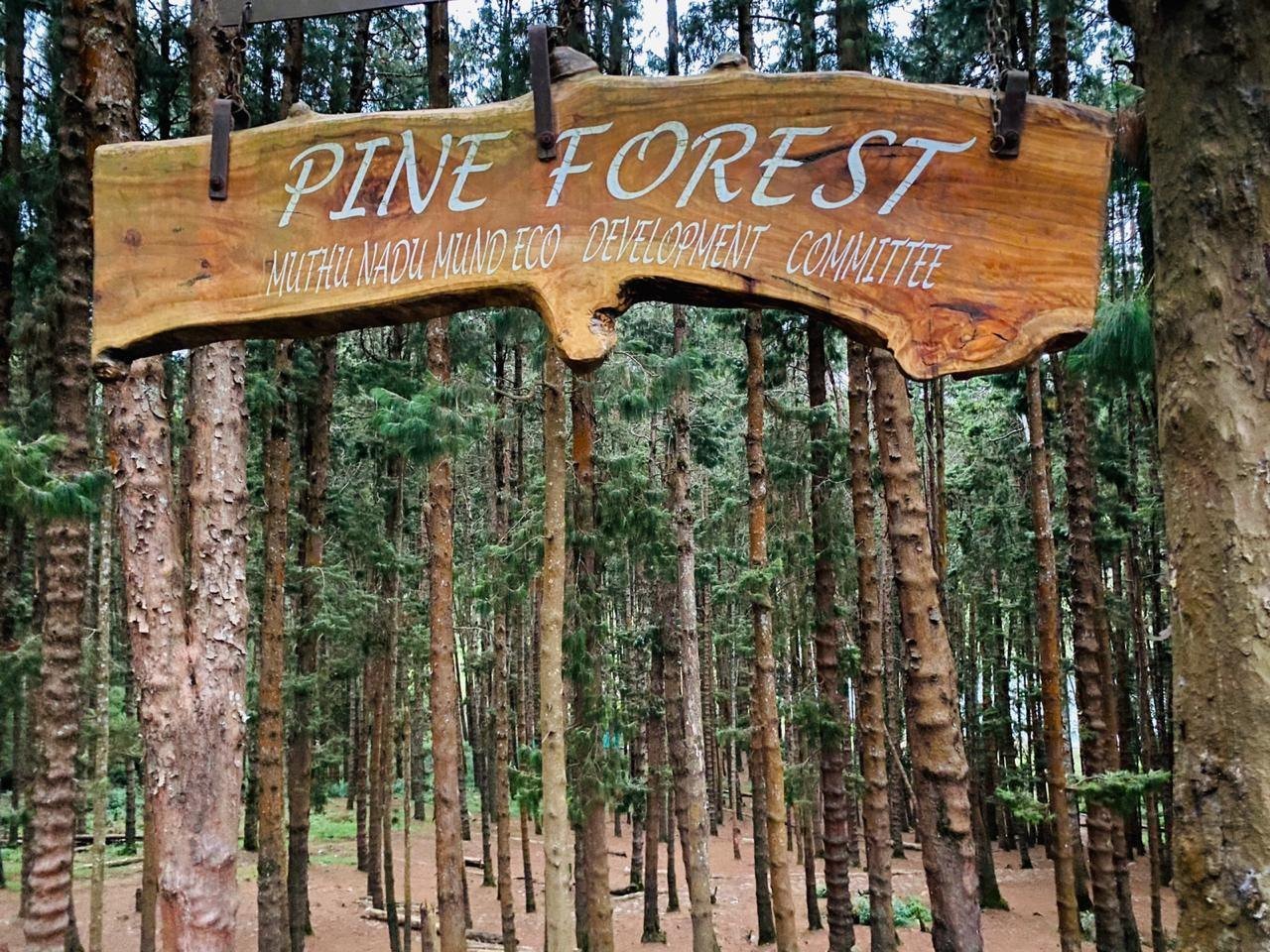 Mysore to Ooty Drop by Private Cab